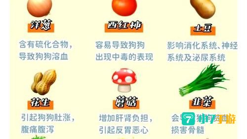 危险的美食