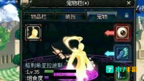 dnf宠物撒共
